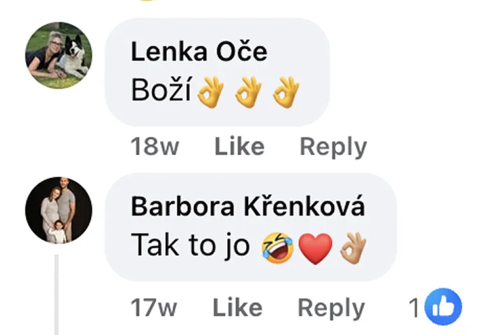 Komentář 7