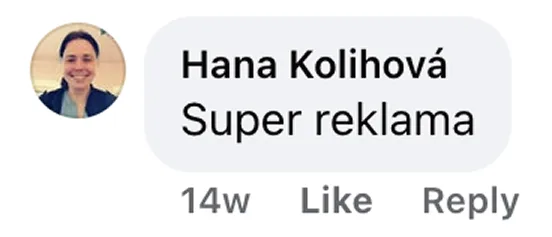 Komentář 13