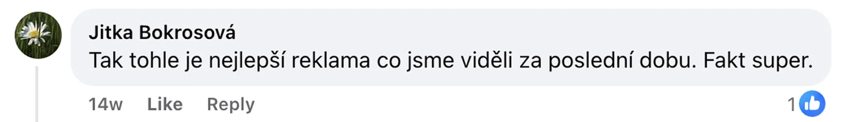 Komentář 21